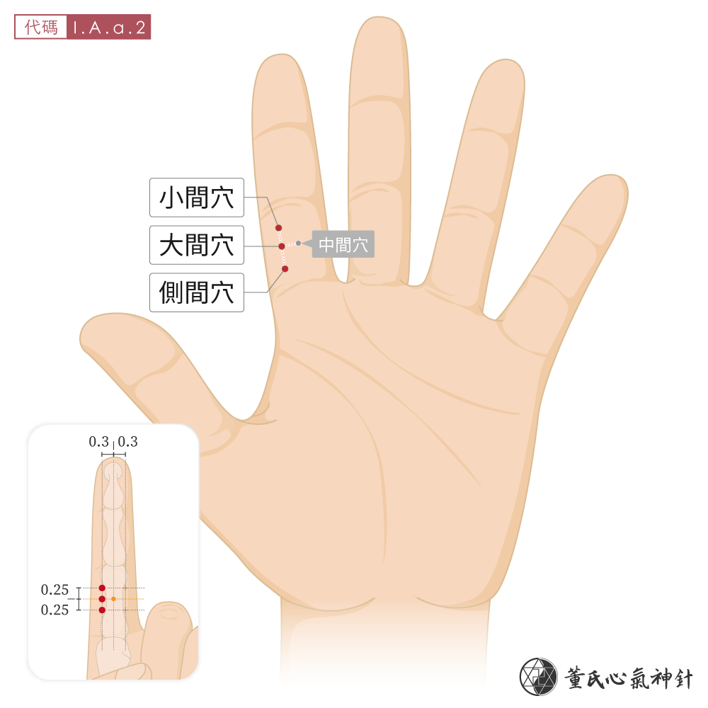 大間穴、側間穴、小間穴位於食指掌面間上區左手示意圖