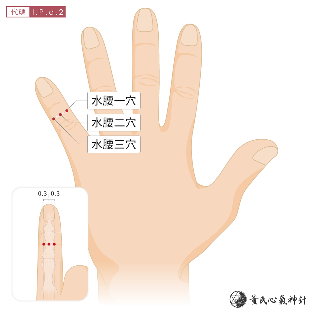 水腰穴位於小指背面水腰區左手示意圖
