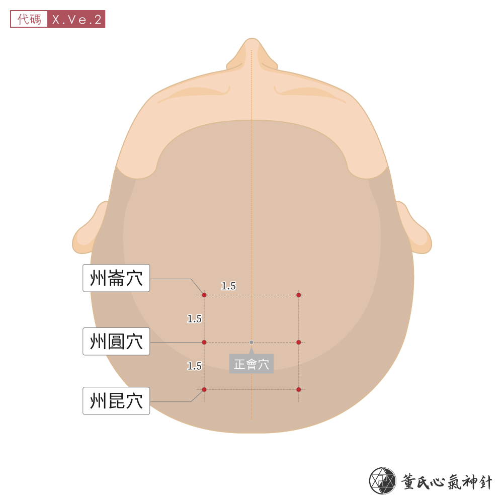 州圓穴、州昆穴、州崙穴位於頭頂部位頭圓區示意圖